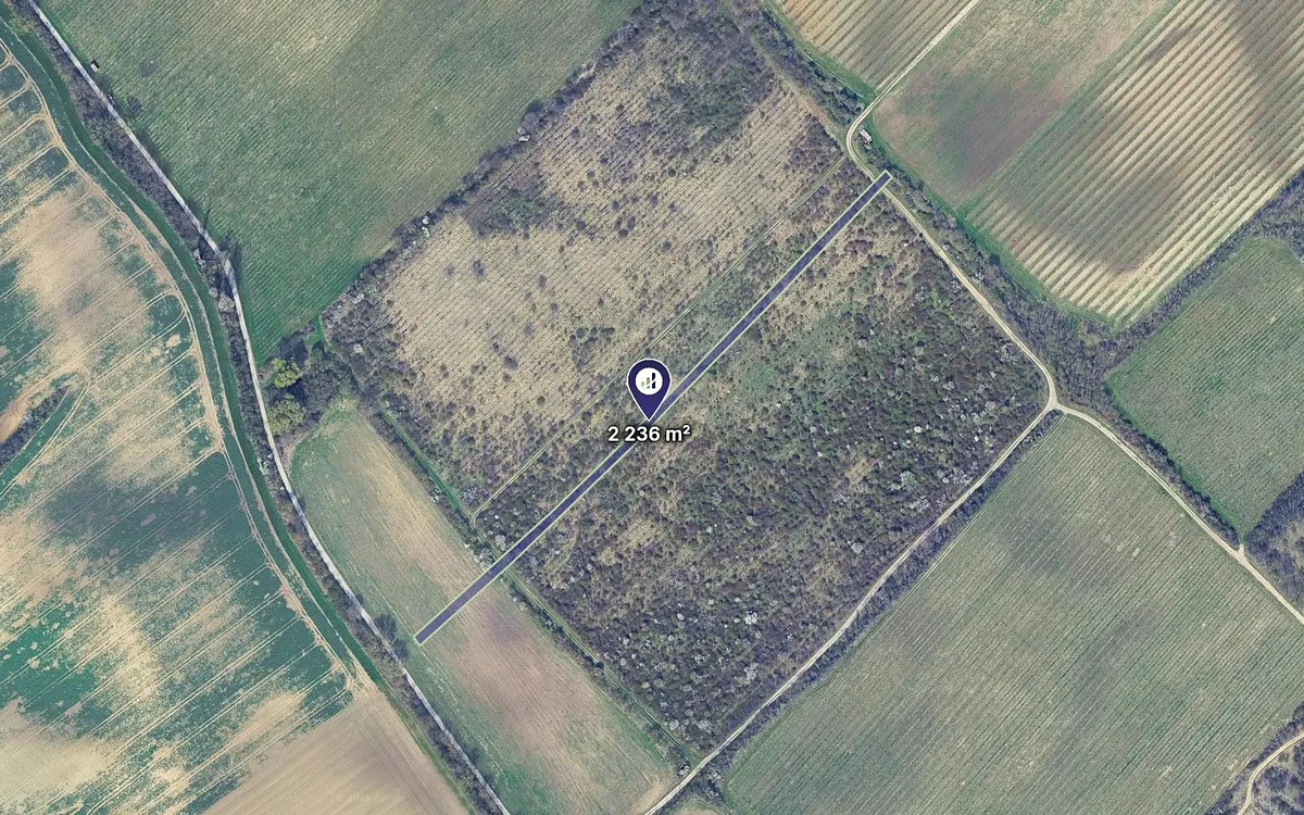 Prodej sadu, vinice 2236 m²